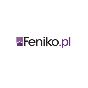 Feniko - weź pożyczkę